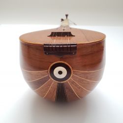 Setar Walnut Mohamadi - Kamalian pattern  *This unique instrument is only available based on order*